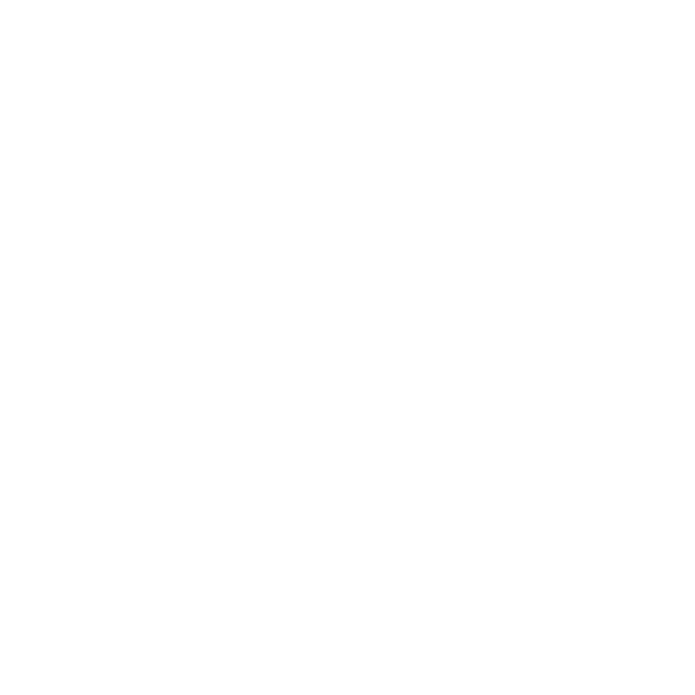 Logo Boemke & Partner